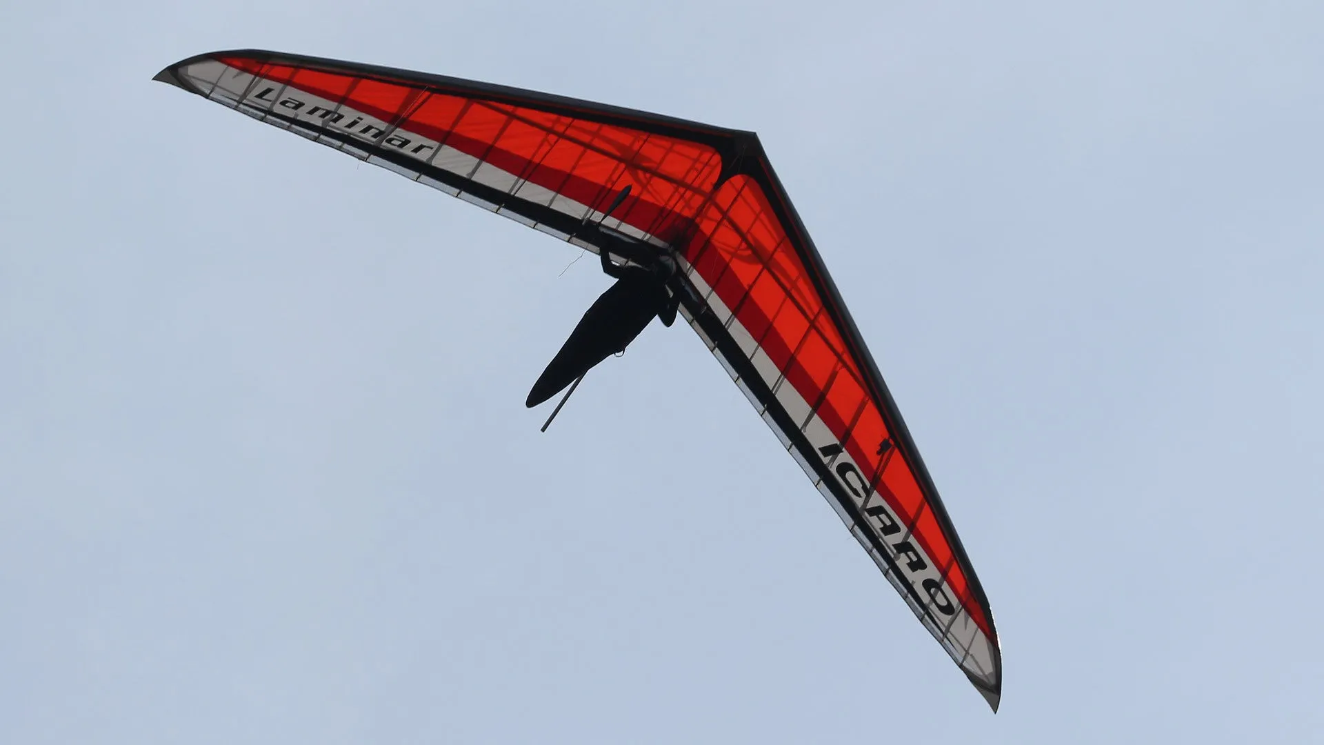 Icaro Laminar