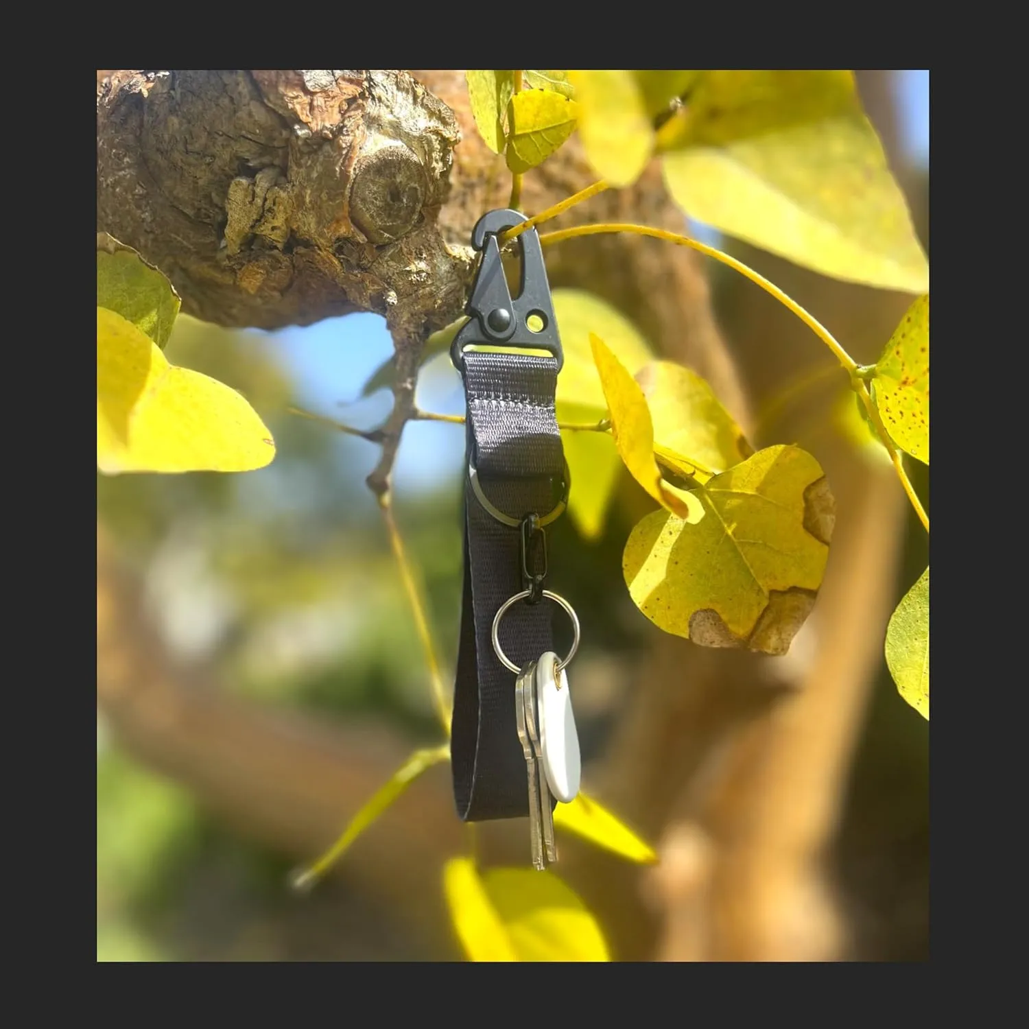 Keychain Wristlet Lanyard Strap Carabiner with Secure Key Ring, Set of 2